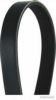 MAGNETI MARELLI 600000002240 V-Ribbed Belts